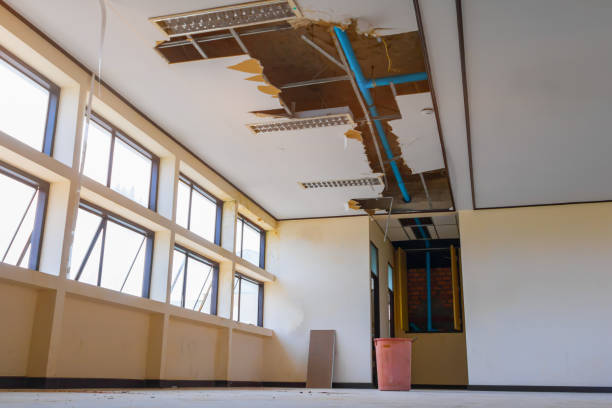 Best Flood restoration services  in Conrad, IA