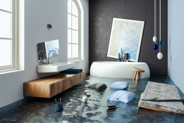 Best Water damage contractors near me  in Conrad, IA