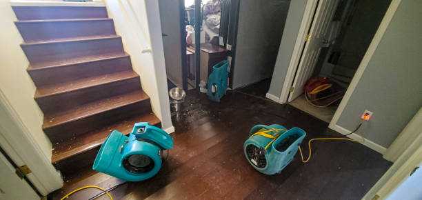 Best Flooded house restoration  in Conrad, IA