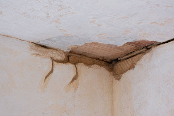 Best Sewage cleanup and water damage restoration  in Conrad, IA