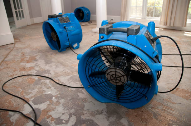 Best Residential water damage restoration  in Conrad, IA