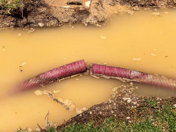 Sewage cleanup and water damage restoration in IA