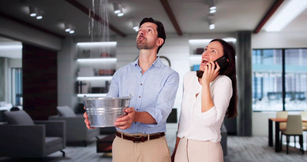 Best Water damage restoration experts  in Conrad, IA