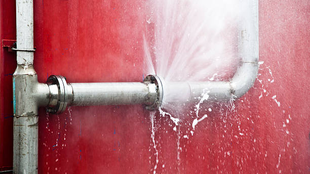 Best Water damage cleanup near me  in Conrad, IA